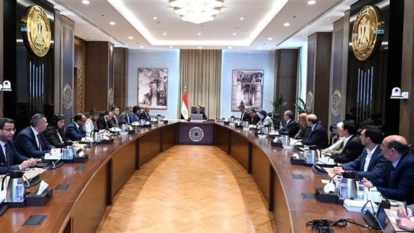 رئيس الوزراء يستعرض تحديات قطاع صناعة الحديد والصلب