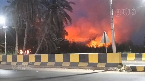 اندلاع حريق في حشائش بجوار شريط السكة الحديد ببني سويف