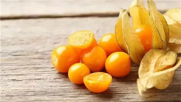 الحرنكش يعالج نزلات البرد والإنفلونزا ويحمي من السرطان