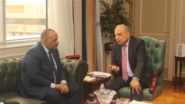وزير الكهرباء يبحث مع نظيره السوداني إعادة تأهيل محطات التوليد