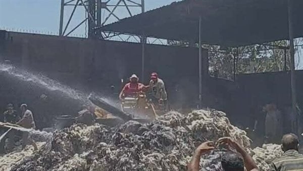 حريق هائل يلتهم محتويات مصنع لحلج القطن بالدقهلية (صور)