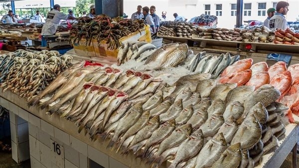 سعر السمك اليوم الخميس، انخفاض جديد في البلطي والمكرونة والبوري يقفز إلى 200 جنيه