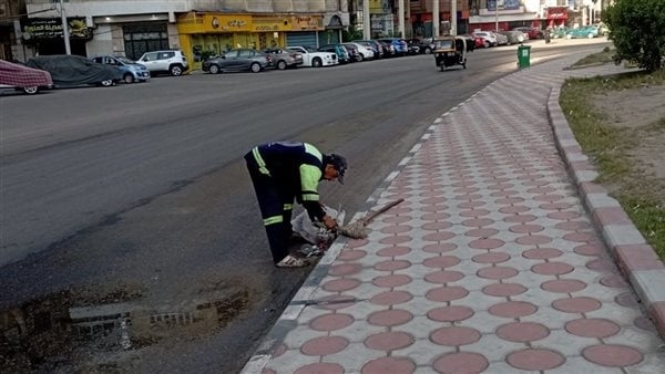رفع 565 طن مخلفات وتجمعات قمامة في حملة نظافة بالمنصورة (صور)