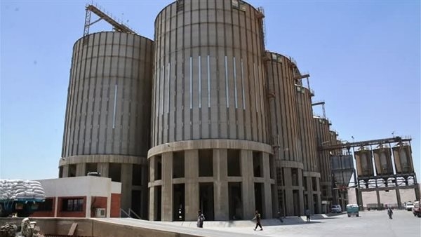 الشون والصوامع بسوهاج تستقبل 165 ألف طن قمح
