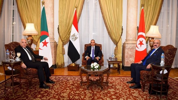 بينهم مصر، بيان عاجل لوزراء خارجية 3 دول عربية بشأن ليبيا (صور)