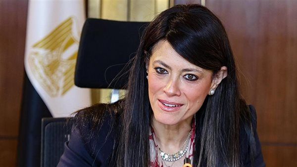 المشاط: مشروعات الطاقة ببرنامج «نوفي» تجسيد لقوة الشراكة بين الحكومة والقطاع الخاص والمؤسسات الدولية
