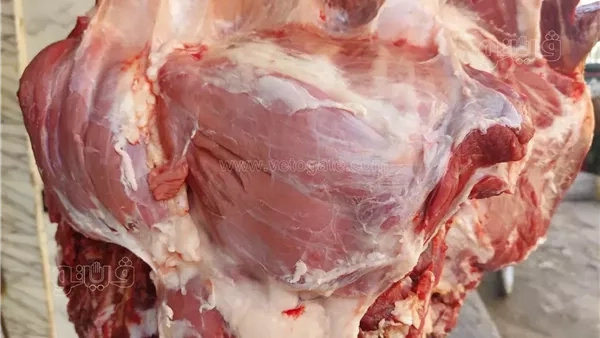 انخفاض الضاني مع قرب العيد، أسعار اللحوم اليوم في الأسواق