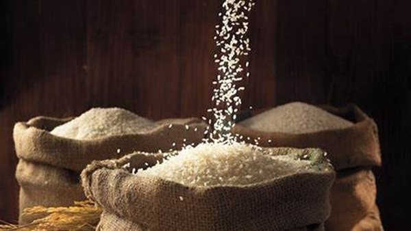 تعرف على سعر طن الأرز الأبيض بالسوق المحلي