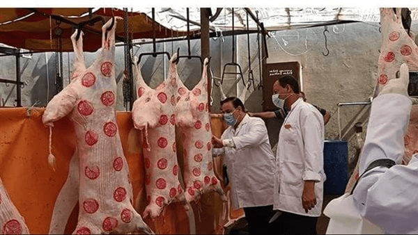 غدا، محافظ الدقهلية يفتتح مجزر ميت الكرما بعد تطويره بتكلفة 20 مليون جنيه