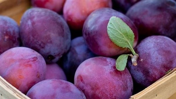 البرقوق يقوي المناعة ويحمي من الإمساك وهشاشة العظام