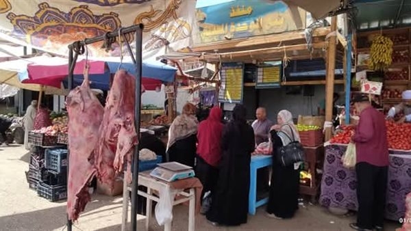 قبل عيد الأضحى، طرح لحوم بلدية طازجة بـ 280جنيهًا للكيلو في الوادي الجديد