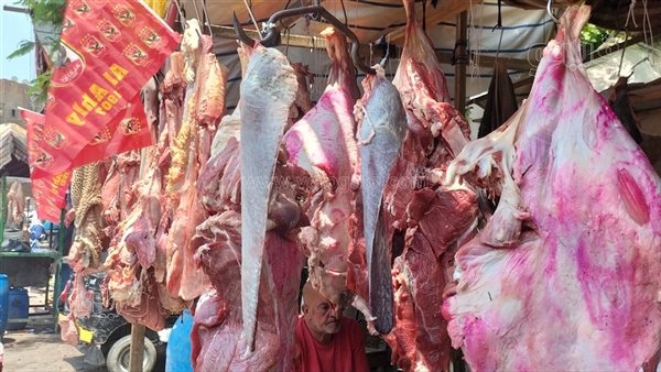 البلدي بـ 300 والضأن بـ 400، أسعار اللحوم داخل مدبح السيدة زينب (فيديو وصور)