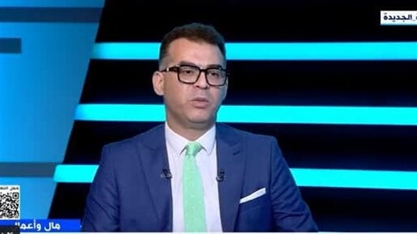 خبير يكشف الهدف من طرح 11 شركة حكومية ببرنامج الطروحات