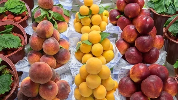 سعر الفاكهة اليوم، قفزة في البرقوق والخوخ والعنب الأحمر