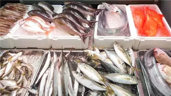 سعر السمك اليوم، ارتفاع البلطي 10 جنيهات وانخفاض كبير في البوري