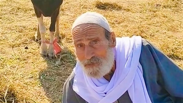 شيخ تجار الغربية للمواطنين: السوق حظ واستعينوا بحد فاهم علشان الأضحية ما تروحش على الفاضي (فيديو)