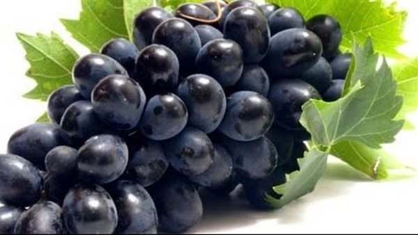 فوائد العنب الأسود، يحسن الذاكرة ويحمي من السرطان وألزهايمر