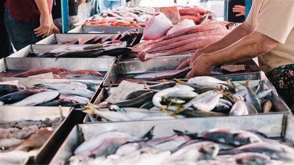 سعر السمك اليوم، ارتفاع البلطي والسبيط وموسى وهذا موقف البوري بعد الانخفاض الكبير