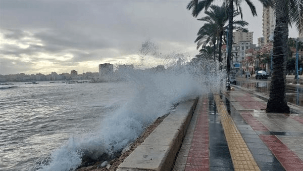 بعد الإعصار المخيف، خبير باليونسيف يكشف تفاصيل جديدة بشأن مواجهة الإسكندرية للتسونامي