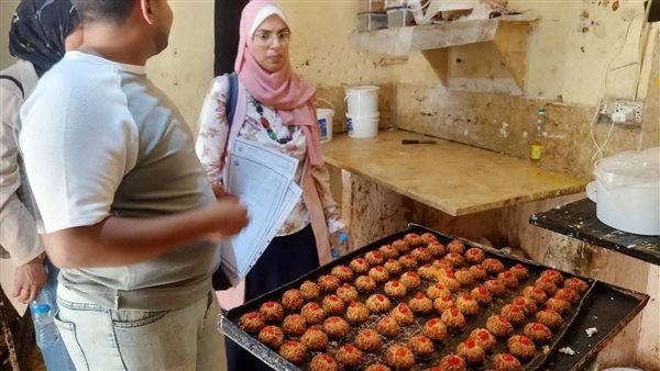 تحرير 95 مخالفة للمنشآت الغذائية خلال حملة بالإسماعيلية (صور)