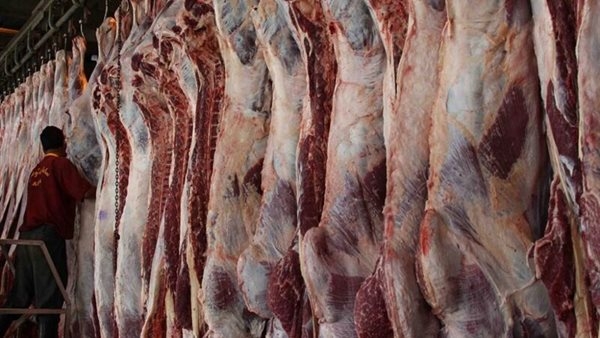 أخبار مصر اليوم: استمرار عمل المجمعات الاستهلاكية خلال العيد.. زيادات جديدة بأسعار تذاكر المتحف المصري.. الأرصاد الجوية توجه تحذيرا للمواطنين.. رابط نتيجة الشهادة الإعدادية 2025
