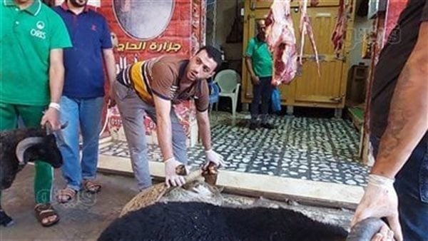 استشاري يحذر من مشاهدة الأطفال لذبح الأضاحي