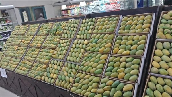 انخفاض 6 أصناف، أسعار المانجو اليوم السبت 7 يونيو 2025