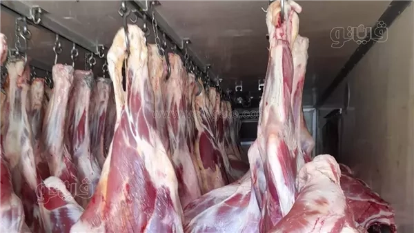 الكندوز الصغير بـ 500 جنيه، أسعار اللحوم في الأسواق اليوم الإثنين
