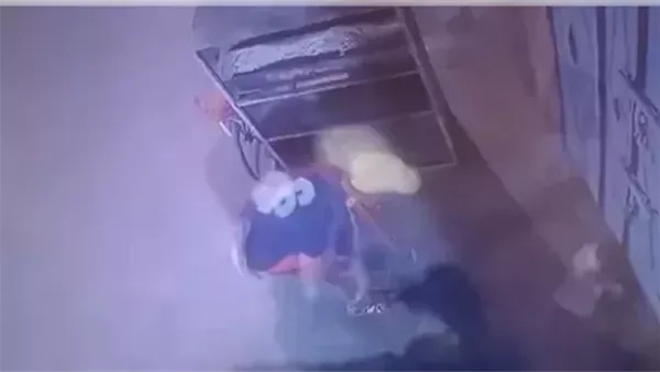 "عايز أجيب مشاهدات"، الأمن يكشف ملابسات فيديو الاعتداء على 'هرة' حتى الموت