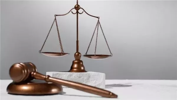 قابيل وهابيل، السجن المشدد 10 سنوات للمتهم بقتل شقيقه بسبب خلافات عائلية في بنها