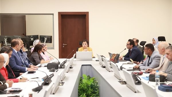 نائبة وزير الصحة تعقد اجتماعًا لمناقشة تنفيذ الخطة العاجلة للسكان والتنمية