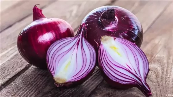فوائد البصل، يحمى من سرطان المعدة والقولون وأمراض الشيخوخة