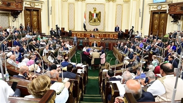 زراعة النواب تدعو وزارة المالية لصرف 303 مليون جنيه لإنهاء ملف مستحقات مزارعى القطن