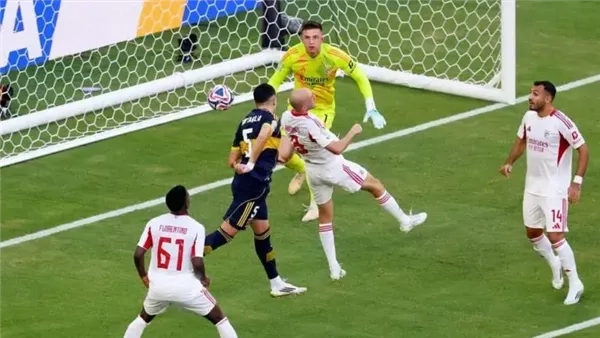 كأس العالم للأندية، مشجع يحضر مباراة بوكا وبنفيكا بصحبة كلبه (فيديو)