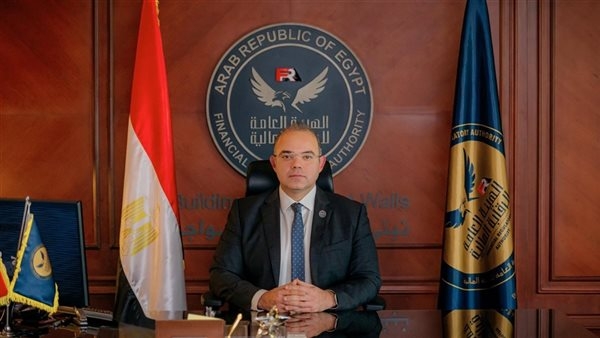 الرقابة المالية تصدر ضوابط الترخيص بإنشاء المواقع الإلكترونية للجهات العاملة بقطاع التأمين