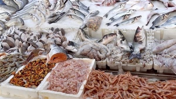 سعر السمك اليوم، انخفاض كبير في 5 أصناف منها المكرونة وقشر بياض وارتفاع البلطي