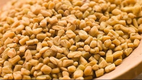 فوائد الحلبة، تحمى من السرطان والقلب وتقوى المناعة