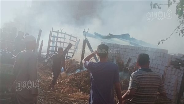حريق يلتهم حظيرة "مواشي" بقرية في بني عفان ببني سويف