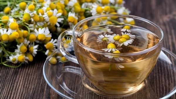 فوائد البابونج، مهدئ للأعصاب ومضاد للالتهابات ولجمال البشرة والشعر