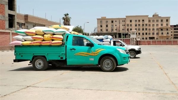 تموين الشرقية: توريد 599 ألف طن قمح إلى الصوامع