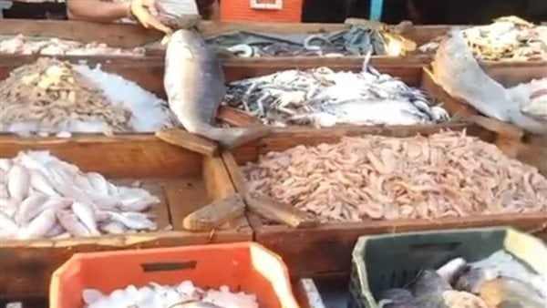 سعر السمك اليوم الخميس، قفزة في المكرونة والسبيط والبلطي يحير المصريين