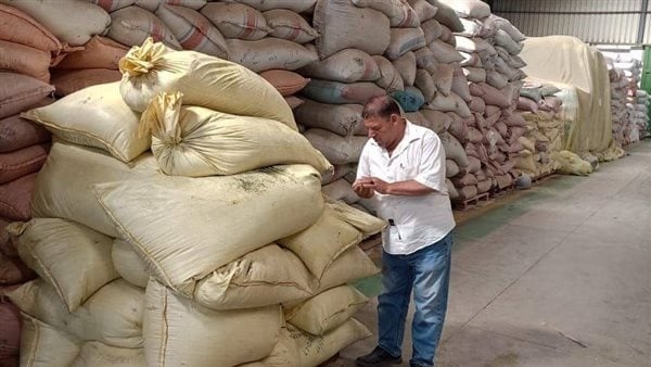 تموين الشرقية: ضبط 4 أطنان أعشاب مجهولة في بلبيس