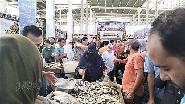 لمواجهة جشع التجار.. الإسماعيلية تطلق مبادرة أسماكنا بنصف ثمنها (فيديو وصور )