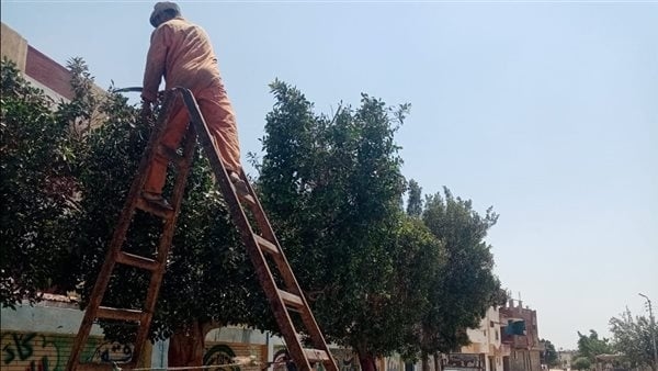 استمرار أعمال تطوير وتجميل قرية الحجاز في الإسماعيلية (صور)