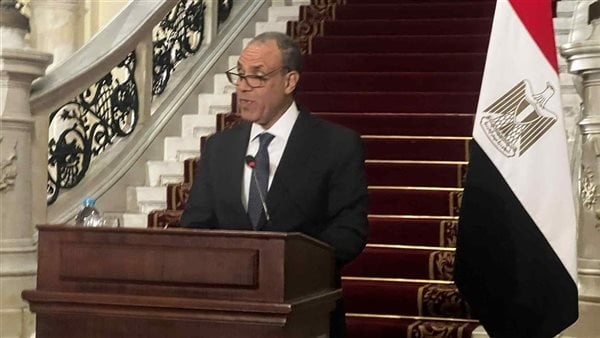 وزير الخارجية: جولة إفريقية مرتقبة لتعزيز الشراكات واهتمام متجدد بالقضية الفلسطينية