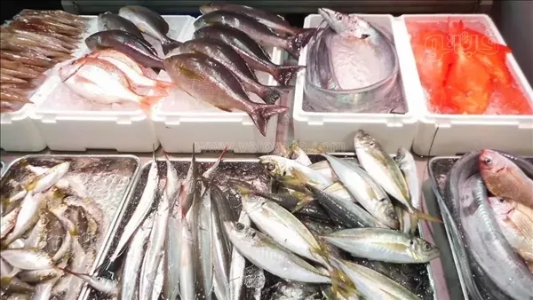 سعر السمك اليوم، انخفاض البلطي والجمبري والكابوريا في سوق العبور