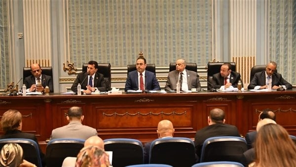 تطبيق بند الـ 8 سنوات، شباب النواب توافق على تعديلات قانون الرياضة نهائيا