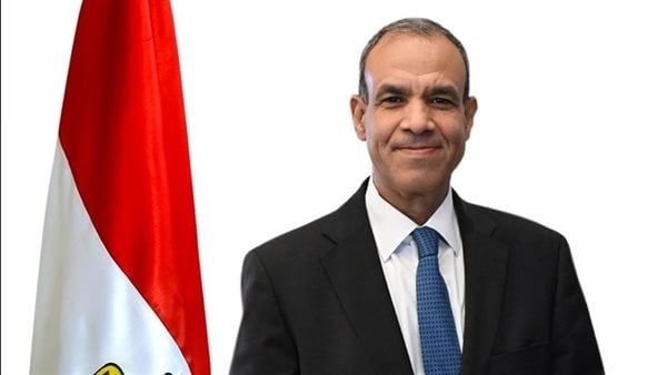 وزير الخارجية: أى تغيير بالإقليم مرهون بإرادة كل الدول وليس إسرائيل