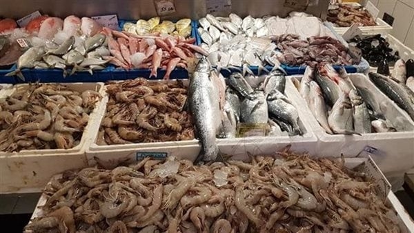 سعر السمك اليوم، انخفاض مفاجئ في البلطي، وقفزة في البوري والمكرونة