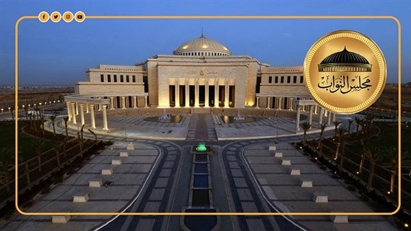 راح يكحلها عماها، خبير دستوري يدعو إلى وقف "التموين وتكافل وكرامة" للمتخلفين عن التصويت بالانتخابات